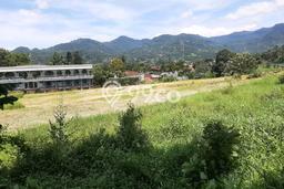 Dijual Tanah Lokasi Puncak, Bogor Seluas 250m2 Dijual Tanah Lokasi Puncak, Bogor Seluas 250m2