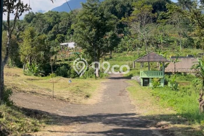 Tanah Dijual Area Strategis di Puncak Bogor 400m2 Tanah Dijual Area Strategis di Puncak Bogor 400m2