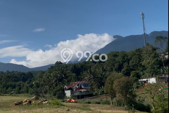 Tanah Dijual Area Strategis di Puncak Bogor 400m2 Tanah Dijual Area Strategis di Puncak Bogor 400m2