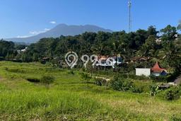 Tanah Dijual Area Strategis di Puncak Bogor 150m2 Tanah Dijual Area Strategis di Puncak Bogor 150m2