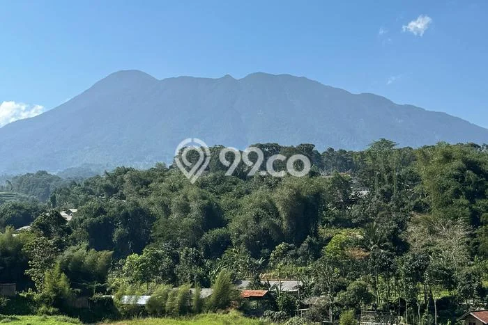 Tanah Kavling Dijual di Puncak, Bogor dengan Luas Tanah 400m2 Tanah Kavling Dijual di Puncak, Bogor dengan Luas Tanah 400m2