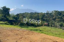 Dijual Tanah Lokasi Puncak, Bogor Seluas 250m2 Dijual Tanah Lokasi Puncak, Bogor Seluas 250m2