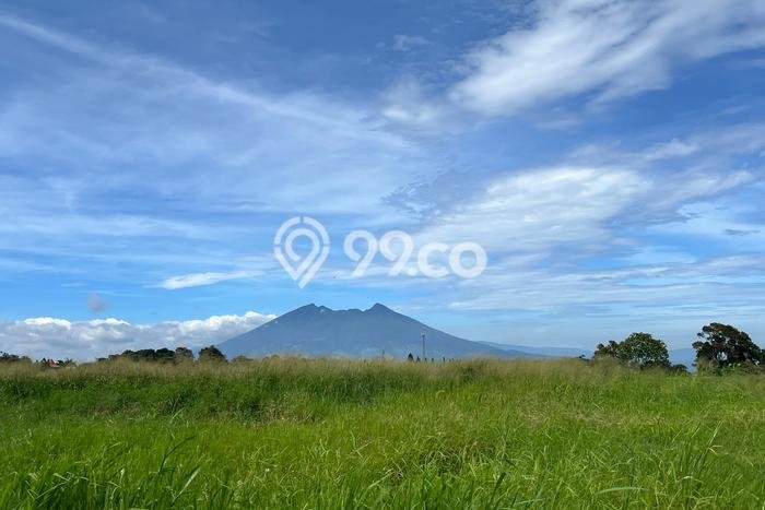 Tanah Siap Bangun Dijual di Bogor Punya Luas 500m2 Tanah Siap Bangun Dijual di Bogor Punya Luas 500m2