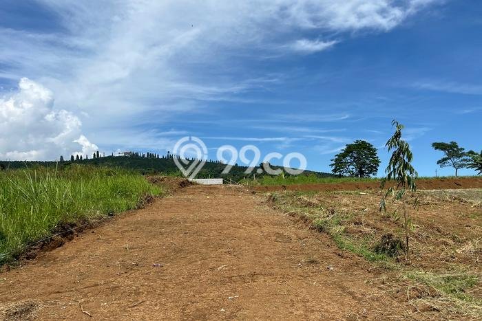 Tanah Dijual di Bogor Seluas 250m2 Strategis Tanah Dijual di Bogor Seluas 250m2 Strategis