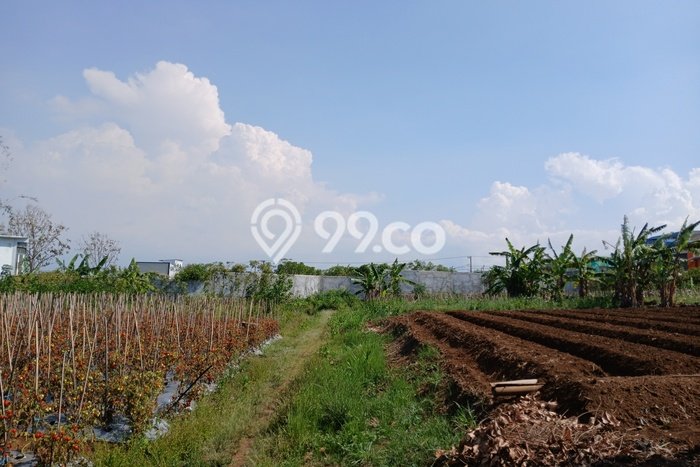 Kavling Tanah Dijual di Dau Malang Spesifikasi 120m2 Kavling Tanah Dijual di Dau Malang Spesifikasi 120m2