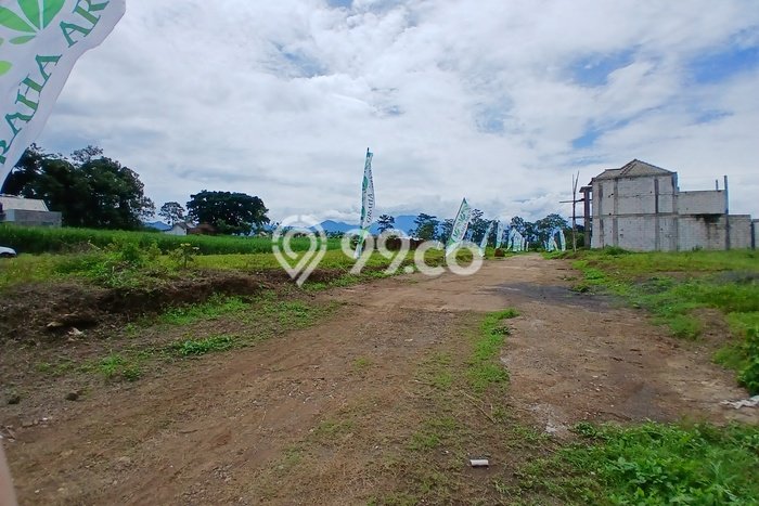 Lahan Investasi Lokasi Pakis Malang SHM Lahan Investasi Lokasi Pakis Malang SHM