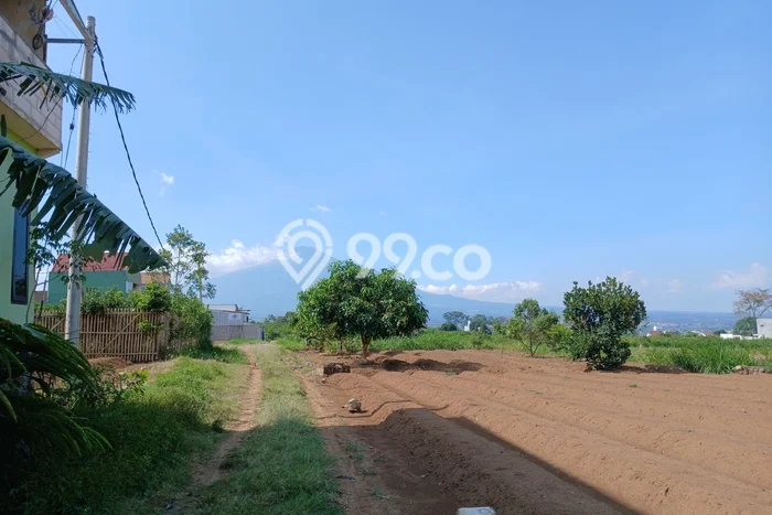 Untuk Dijual Tanah di Dau Malang Luas 120m2 SHM Untuk Dijual Tanah di Dau Malang Luas 120m2 SHM