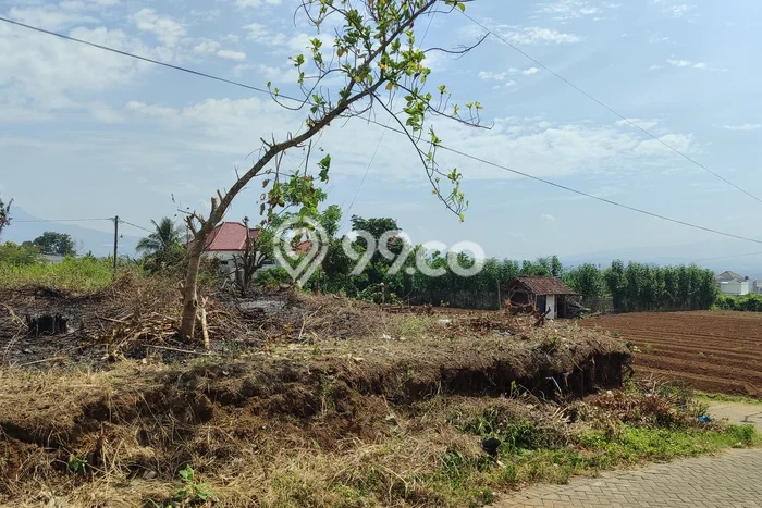 Tanah Kavling Dijual di Malang dengan Spesifikasi 120m2 Tanah Kavling Dijual di Malang dengan Spesifikasi 120m2