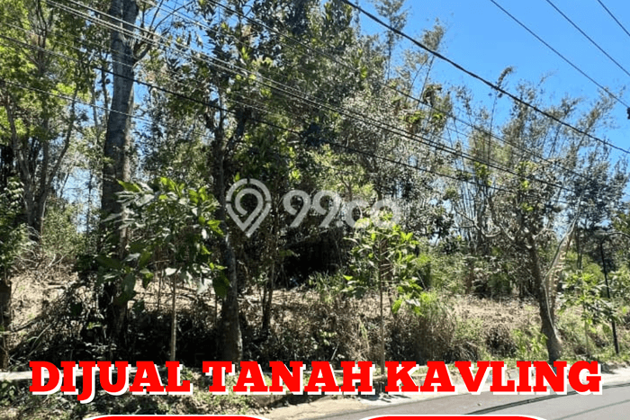 LOKASI PREMIUM! Tanah Kawasan Dau, Luas 110m2m², Cocok untuk Investasi LOKASI PREMIUM! Tanah Kawasan Dau, Luas 110m2m², Cocok untuk Investasi