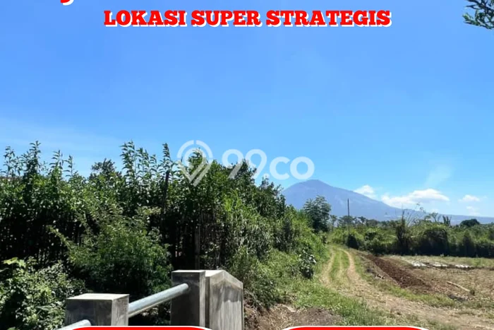 HARGA MENARIK! Tanah Kawasan Dau, Luas 87m2m², Lokasi Berkembang, Bebas Longsor HARGA MENARIK! Tanah Kawasan Dau, Luas 87m2m², Lokasi Berkembang, Bebas Longsor