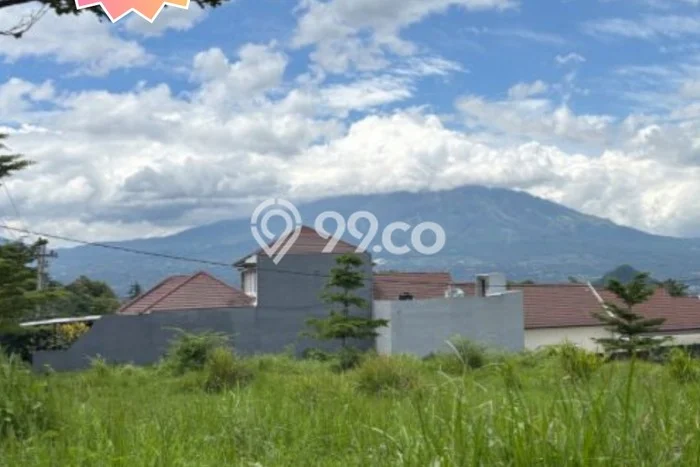 Tanah Dijual Lokasi Batu Batu SHM Tanah Dijual Lokasi Batu Batu SHM