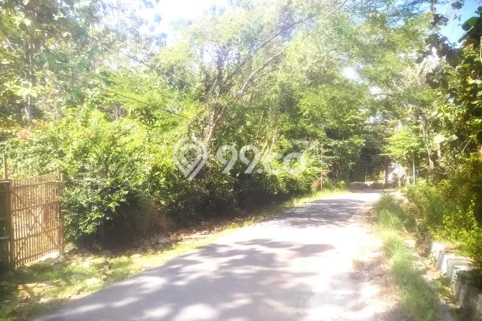 Tanah Kavling untuk Dijual di Lasem Rembang 13000m2 Tanah Kavling untuk Dijual di Lasem Rembang 13000m2