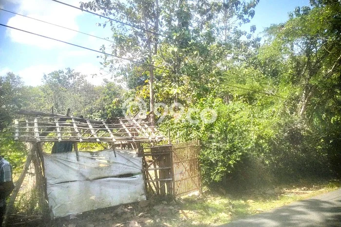 Tanah Kavling untuk Dijual di Lasem Rembang 13000m2 Tanah Kavling untuk Dijual di Lasem Rembang 13000m2