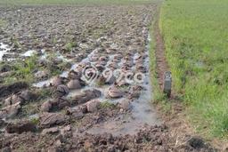 Lahan Kosong Dijual di Cianjur dengan Area 3280m2 Lahan Kosong Dijual di Cianjur dengan Area 3280m2