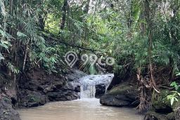 Tanah Kavling untuk Dijual di Selemadeg Tabanan 2100m2 Tanah Kavling untuk Dijual di Selemadeg Tabanan 2100m2
