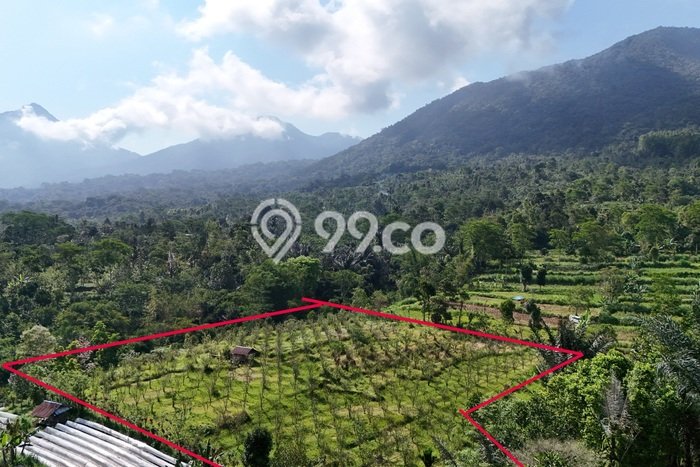LOKASI PREMIUM! Tanah Kawasan Baturiti, Luas 8800m2m², Ideal untuk Investasi LOKASI PREMIUM! Tanah Kawasan Baturiti, Luas 8800m2m², Ideal untuk Investasi