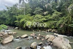 Tanah Dijual Lokasi Penebel, Tabanan Luas 16000m2 Legalitas Aman Tanah Dijual Lokasi Penebel, Tabanan Luas 16000m2 Legalitas Aman