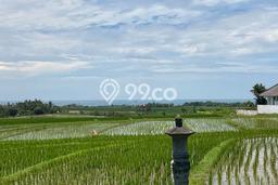 Kavling Tanah Dijual di Selemadeg Tabanan Spesifikasi 400m2 Kavling Tanah Dijual di Selemadeg Tabanan Spesifikasi 400m2