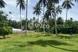 Tanah di Selemadeg, Tabanan Luas 12500m2 Dijual Segera Tanah di Selemadeg, Tabanan Luas 12500m2 Dijual Segera