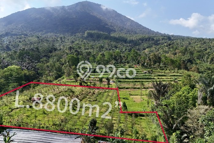 LOKASI PREMIUM! Tanah Kawasan Baturiti, Luas 8800m2m², Ideal untuk Investasi LOKASI PREMIUM! Tanah Kawasan Baturiti, Luas 8800m2m², Ideal untuk Investasi