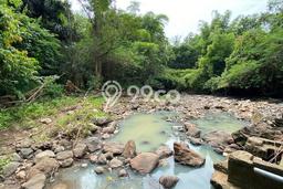 Kavling Tanah Dijual di Selemadeg Tabanan Spesifikasi 2000m2 Kavling Tanah Dijual di Selemadeg Tabanan Spesifikasi 2000m2