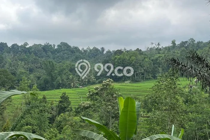 LOKASI STRATEGIS! Tanah Kawasan Penebel, Luas 2470m2m², Jalur Strategis LOKASI STRATEGIS! Tanah Kawasan Penebel, Luas 2470m2m², Jalur Strategis