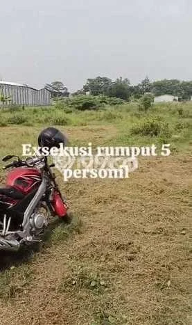 Lahan Investasi Lokasi Batang Batang SHM Lahan Investasi Lokasi Batang Batang SHM