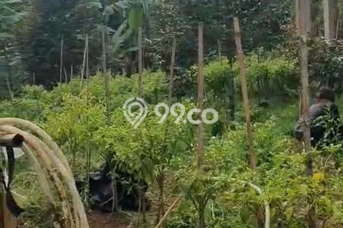 Tanah Dijual Lokasi Cigudeg Bogor SHM Tanah Dijual Lokasi Cigudeg Bogor SHM