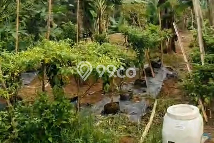 Tanah Dijual Lokasi Cigudeg Bogor SHM Tanah Dijual Lokasi Cigudeg Bogor SHM