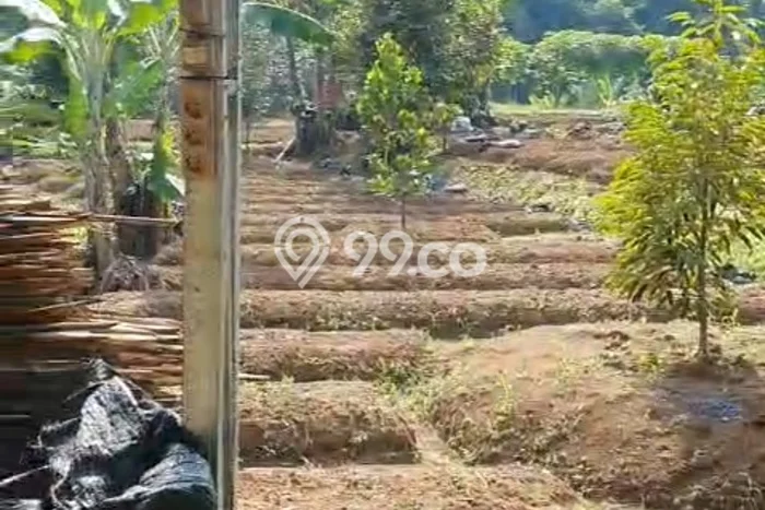 Tanah Dijual Lokasi Cigudeg Bogor SHM Tanah Dijual Lokasi Cigudeg Bogor SHM
