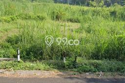 Tanah di Prigen, Pasuruan Luas 4500m2 Dijual Segera Tanah di Prigen, Pasuruan Luas 4500m2 Dijual Segera