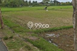 Tanah Siap Bangun Dijual di Jembrana Punya Luas 150m2 Tanah Siap Bangun Dijual di Jembrana Punya Luas 150m2