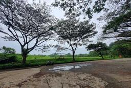 Tanah Kavling Dijual di Bogor dengan Spesifikasi 1500m2 Tanah Kavling Dijual di Bogor dengan Spesifikasi 1500m2
