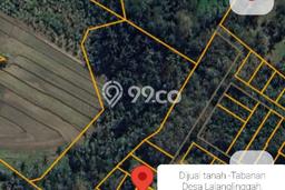 Kavling Tanah di Tabanan Dijual Luas 250m2 Legalitas SHM Kavling Tanah di Tabanan Dijual Luas 250m2 Legalitas SHM