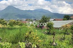 Tanah Kosong Dijual di Batu dengan Area 402m2 Tanah Kosong Dijual di Batu dengan Area 402m2