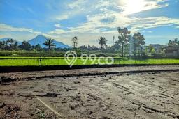 Tanah di Sleman, Luas 146m2m², Dekat Sleman, Sleman, Sleman Tanah di Sleman, Luas 146m2m², Dekat Sleman, Sleman, Sleman