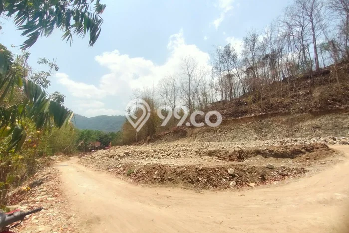 Tanah Kosong Dijual di Bantul dengan Area 118m2 Tanah Kosong Dijual di Bantul dengan Area 118m2