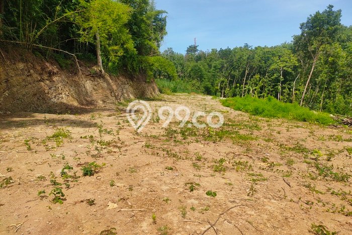 Tanah Dijual Area Strategis di Plered Bantul 123m2 Tanah Dijual Area Strategis di Plered Bantul 123m2