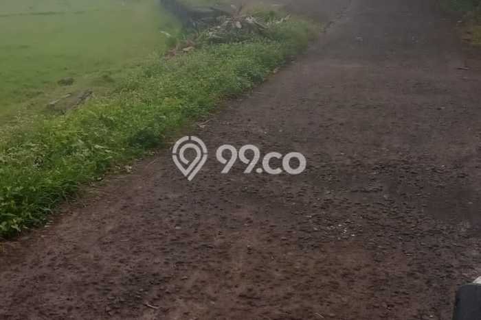Tanah Kavling Dijual di Buwit, Tabanan dengan Luas Tanah 1635m2 Tanah Kavling Dijual di Buwit, Tabanan dengan Luas Tanah 1635m2