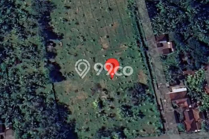 Kavling Tanah untuk Dijual di Kaliakah, Jembrana, Luas 12000m2 Kavling Tanah untuk Dijual di Kaliakah, Jembrana, Luas 12000m2