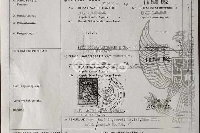 Tanah Investasi Dijual di Tabanan Punya Luas 925m2 Tanah Investasi Dijual di Tabanan Punya Luas 925m2