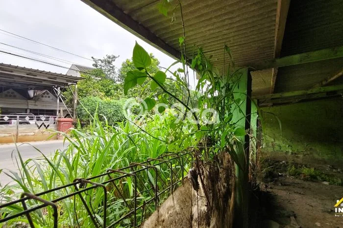 Untuk Disewa Tanah di Parung Panjang Luas 252m2 SHM Untuk Disewa Tanah di Parung Panjang Luas 252m2 SHM