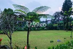 Tanah Dijual Area Strategis di Puncak Bogor 20000m2 Tanah Dijual Area Strategis di Puncak Bogor 20000m2