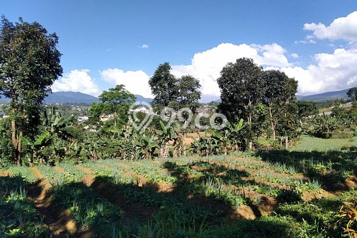 Tanah Komersial Dijual di Bogor Barat Bogor 30000m2 Tanah Komersial Dijual di Bogor Barat Bogor 30000m2