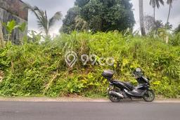 Lahan Kosong Dijual di Tabanan dengan Area 1000m2 Lahan Kosong Dijual di Tabanan dengan Area 1000m2