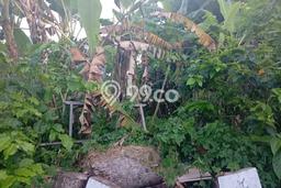 Untuk Dijual Tanah di Kediri Tabanan Luas 273m2 SHM Untuk Dijual Tanah di Kediri Tabanan Luas 273m2 SHM