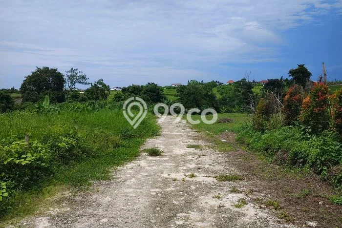 Lahan Dijual Lokasi Strategis di Badung dengan Luas 223m2 Lahan Dijual Lokasi Strategis di Badung dengan Luas 223m2