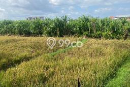 Tanah Strategis di , Luas 500m2m², For Rent Tanah Strategis di , Luas 500m2m², For Rent