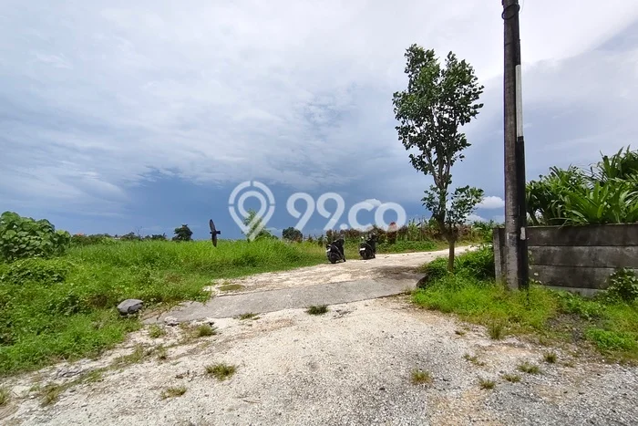 Lahan Dijual Lokasi Strategis di Badung dengan Luas 223m2 Lahan Dijual Lokasi Strategis di Badung dengan Luas 223m2