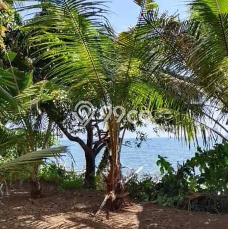 Untuk Dijual Tanah di Buleleng, Luas 2000m2 SHM Untuk Dijual Tanah di Buleleng, Luas 2000m2 SHM